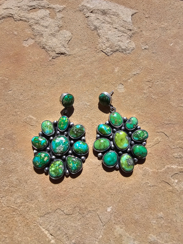 A Cluster of Patagonia Earrings