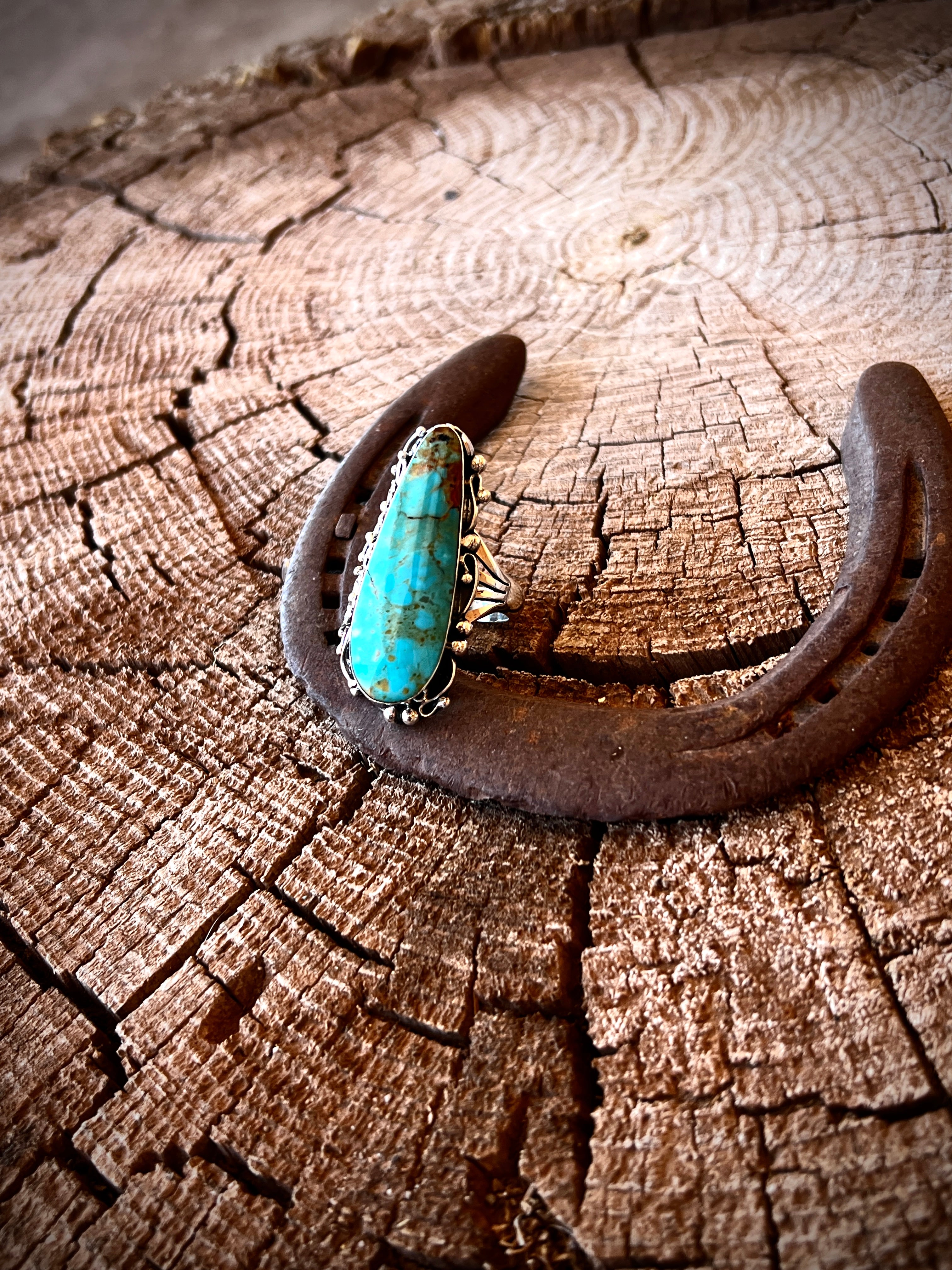The Mother Earth Ring By Evelyn Bahe