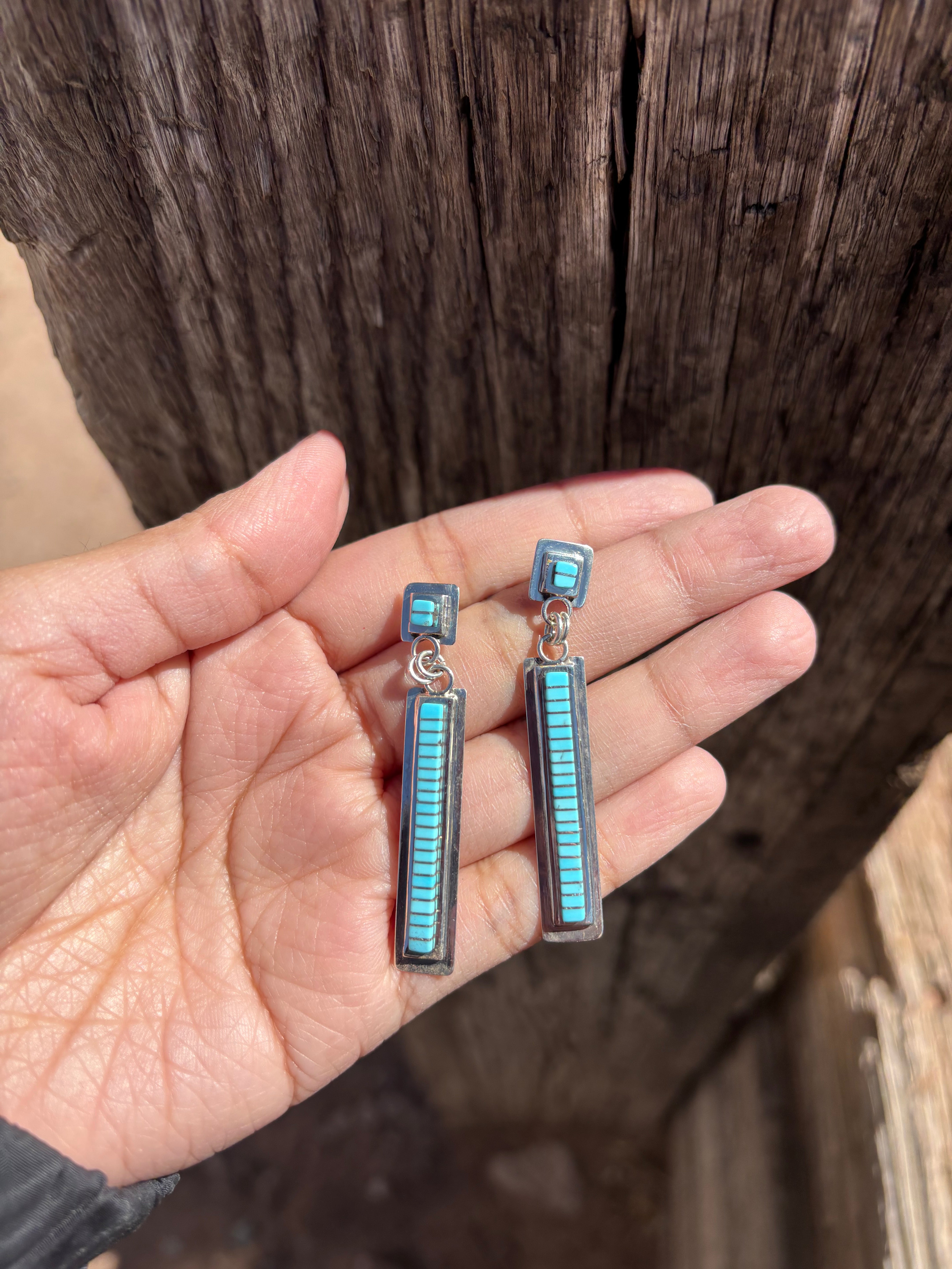 Bold Dangling Earrings