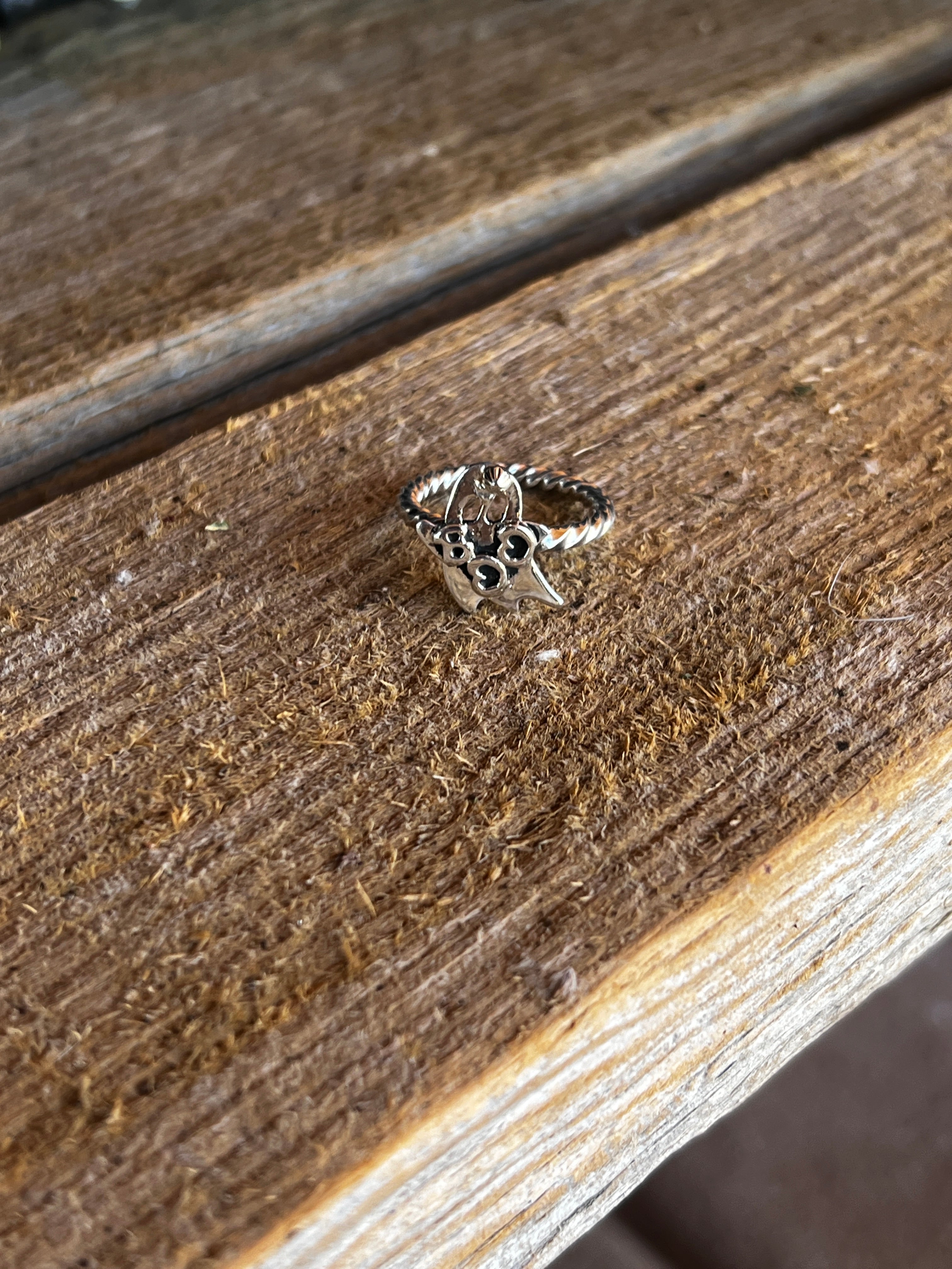 Lil' Spooky, Ghost Ring