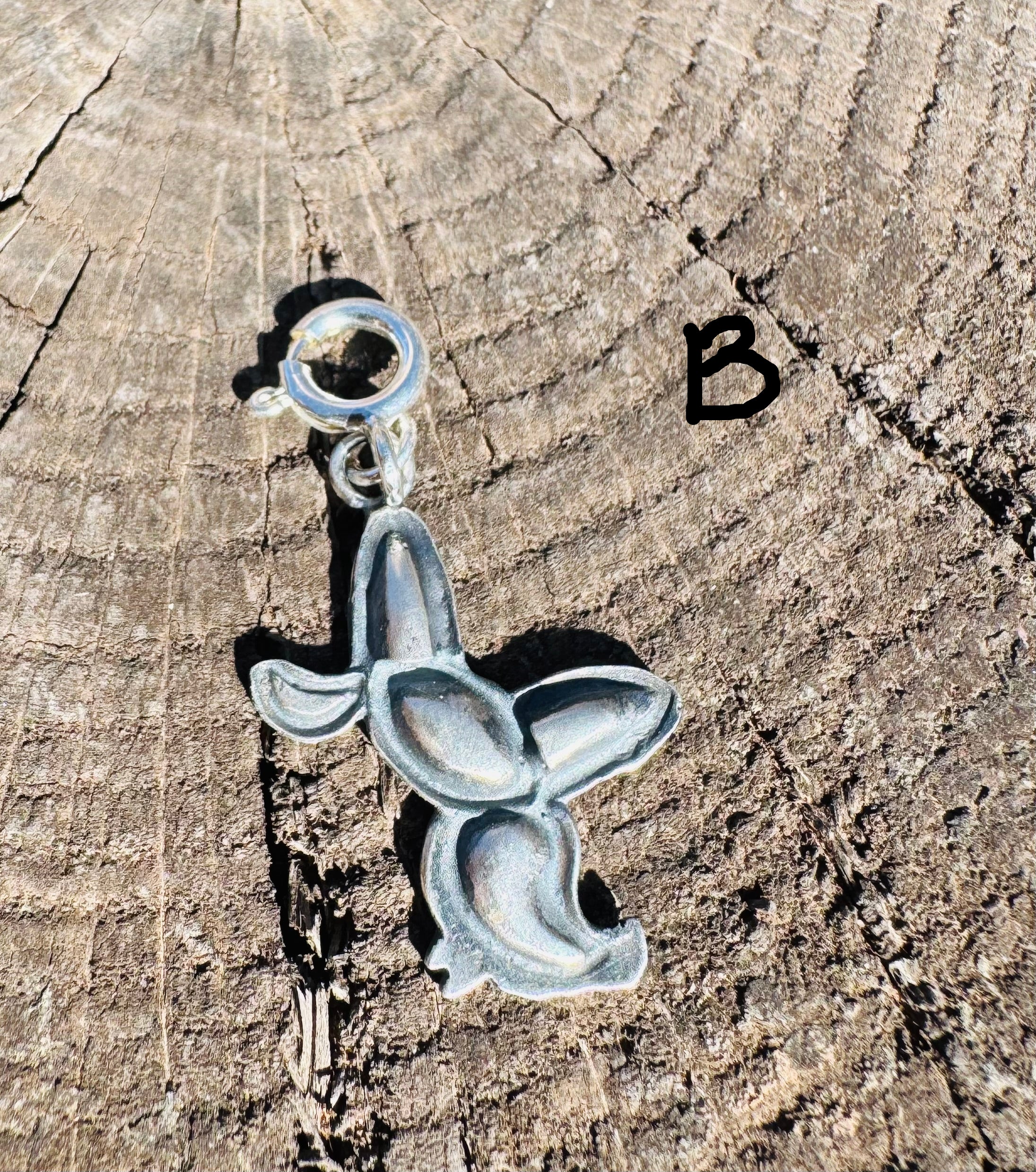 Medium Silver Charms