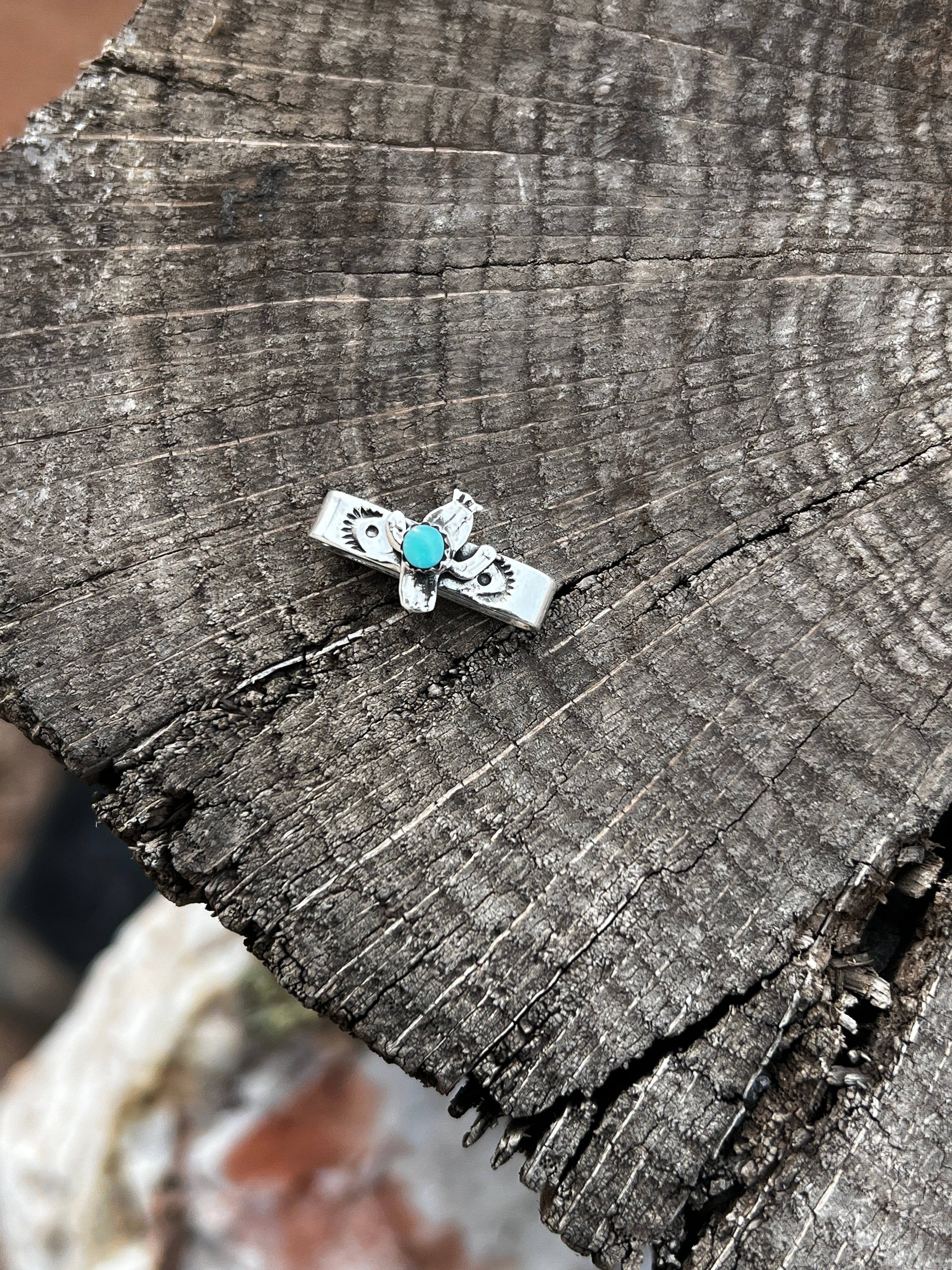 Chaco Canyon Apple Watch Accessory Saguaro Cactus Turquoise