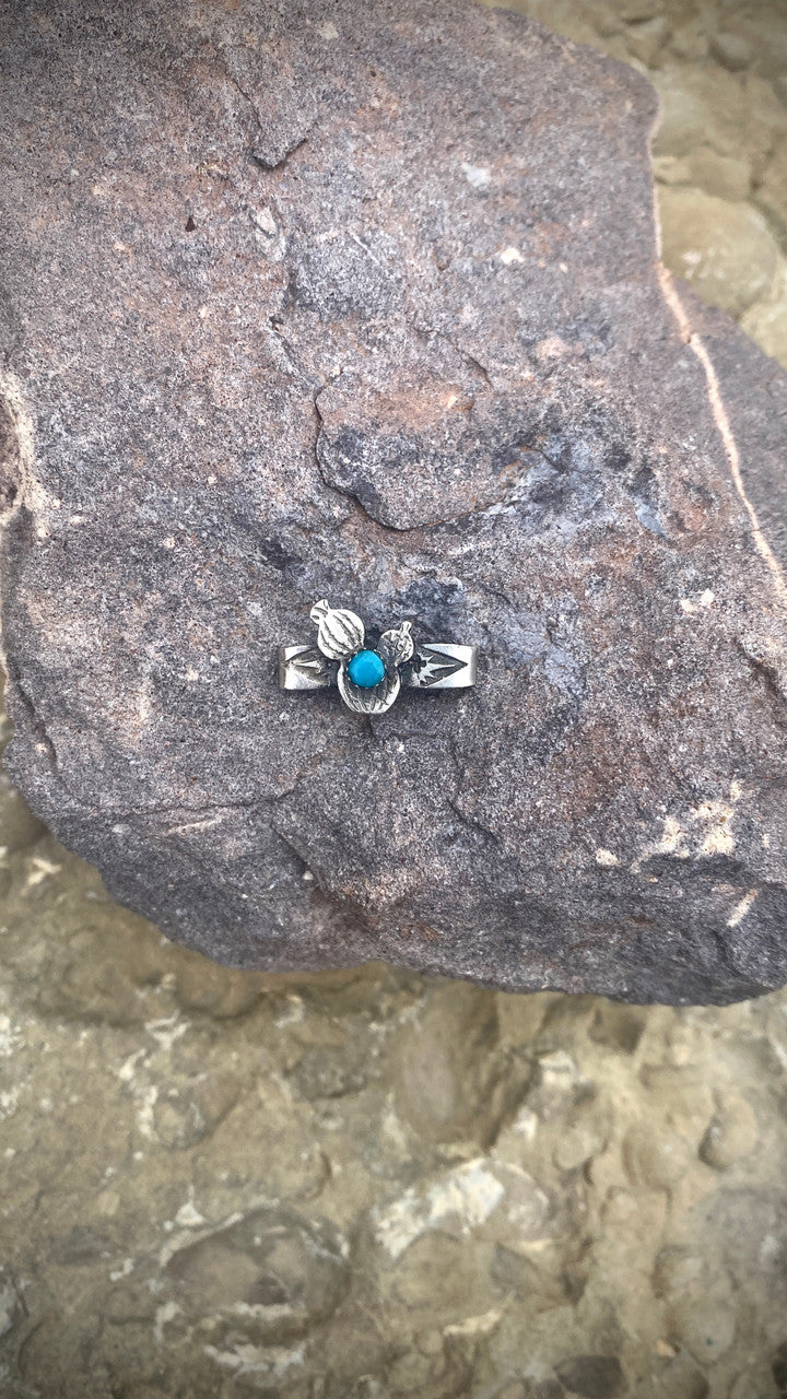 Chaco Canyon Apple Watch Accessory Prickly Cactus Turquoise