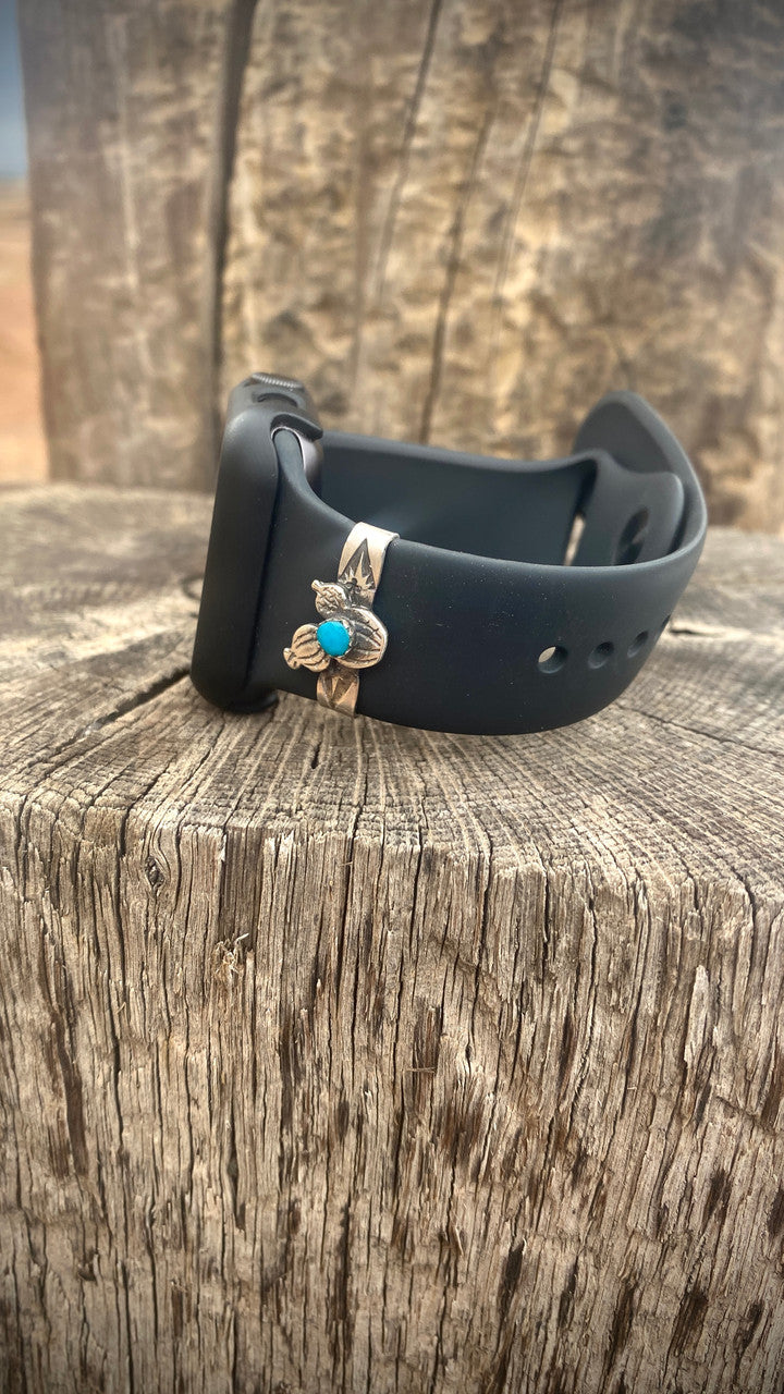 Chaco Canyon Apple Watch Accessory Prickly Cactus Turquoise