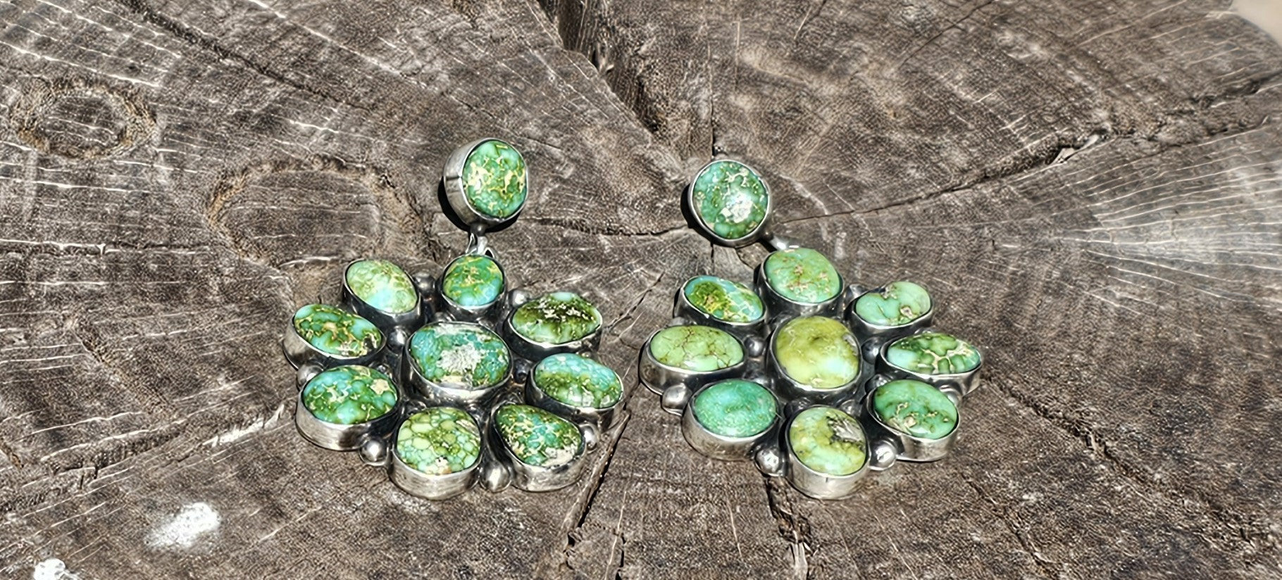 A Cluster of Patagonia Earrings