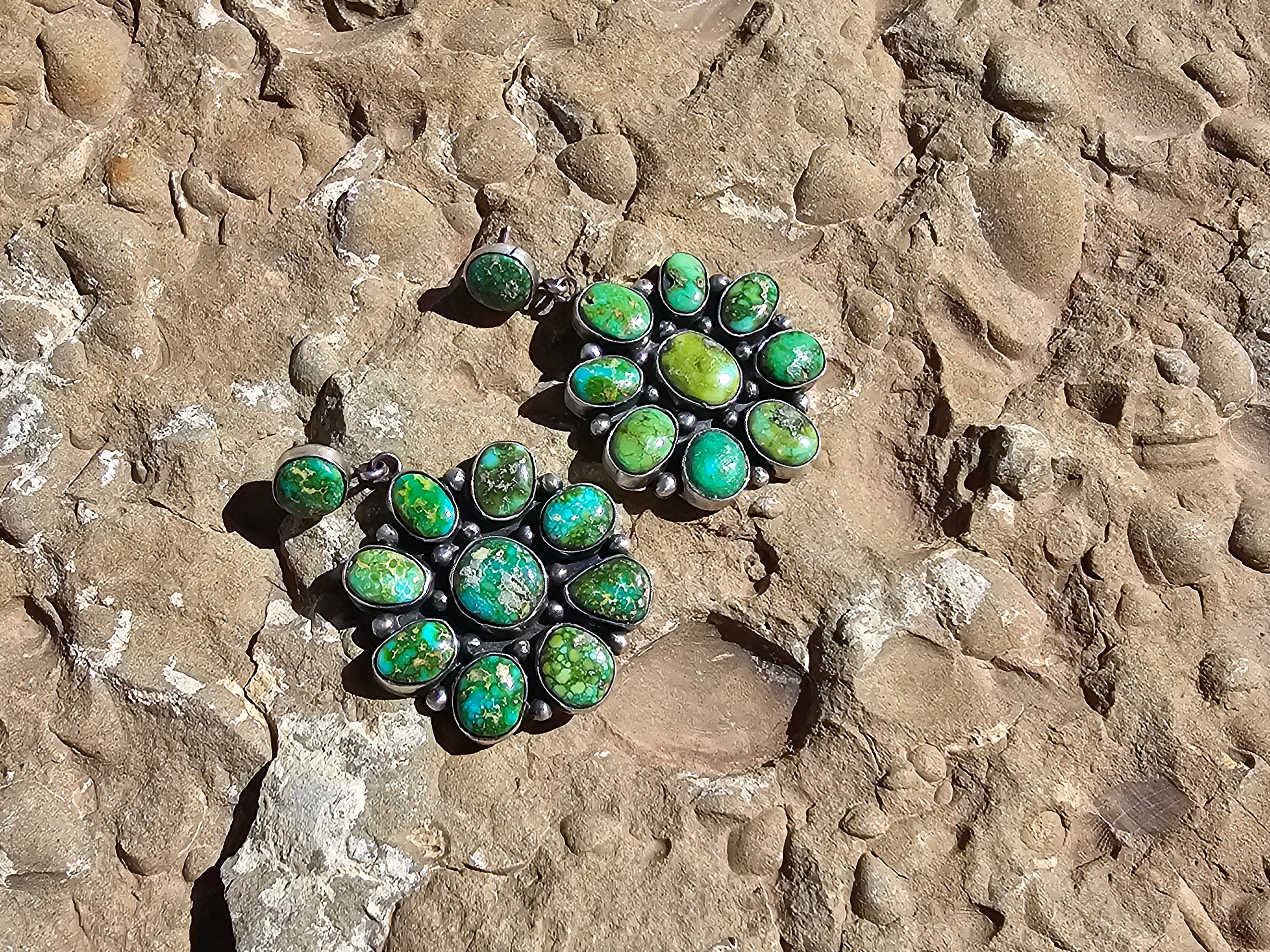 A Cluster of Patagonia Earrings