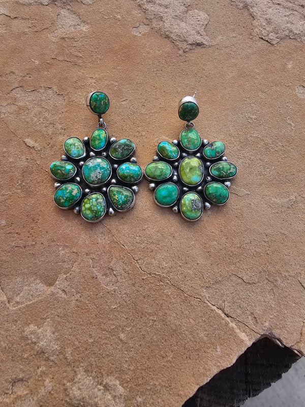 A Cluster of Patagonia Earrings