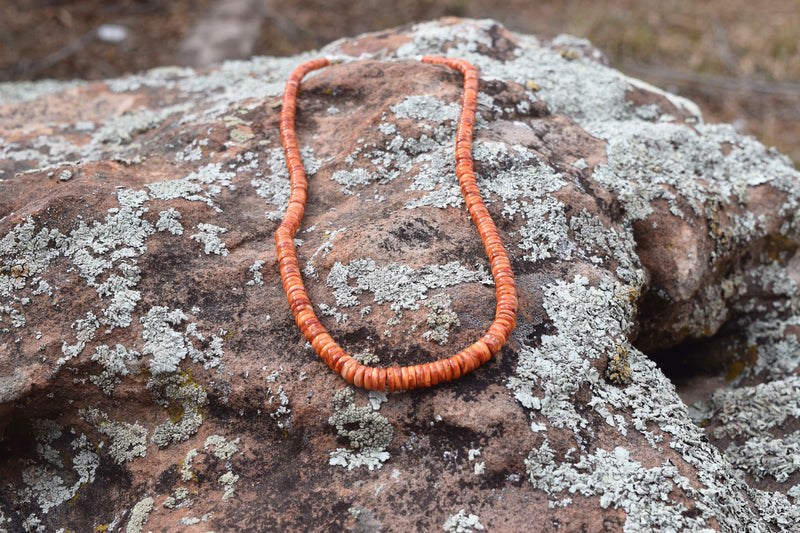 ORANGE SHELL DISC BEAD NECKLACE