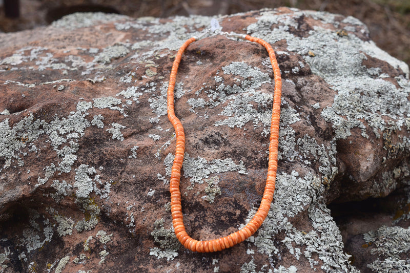 LIGHT ORANGE SHELL DISC BEAD NECKLACE