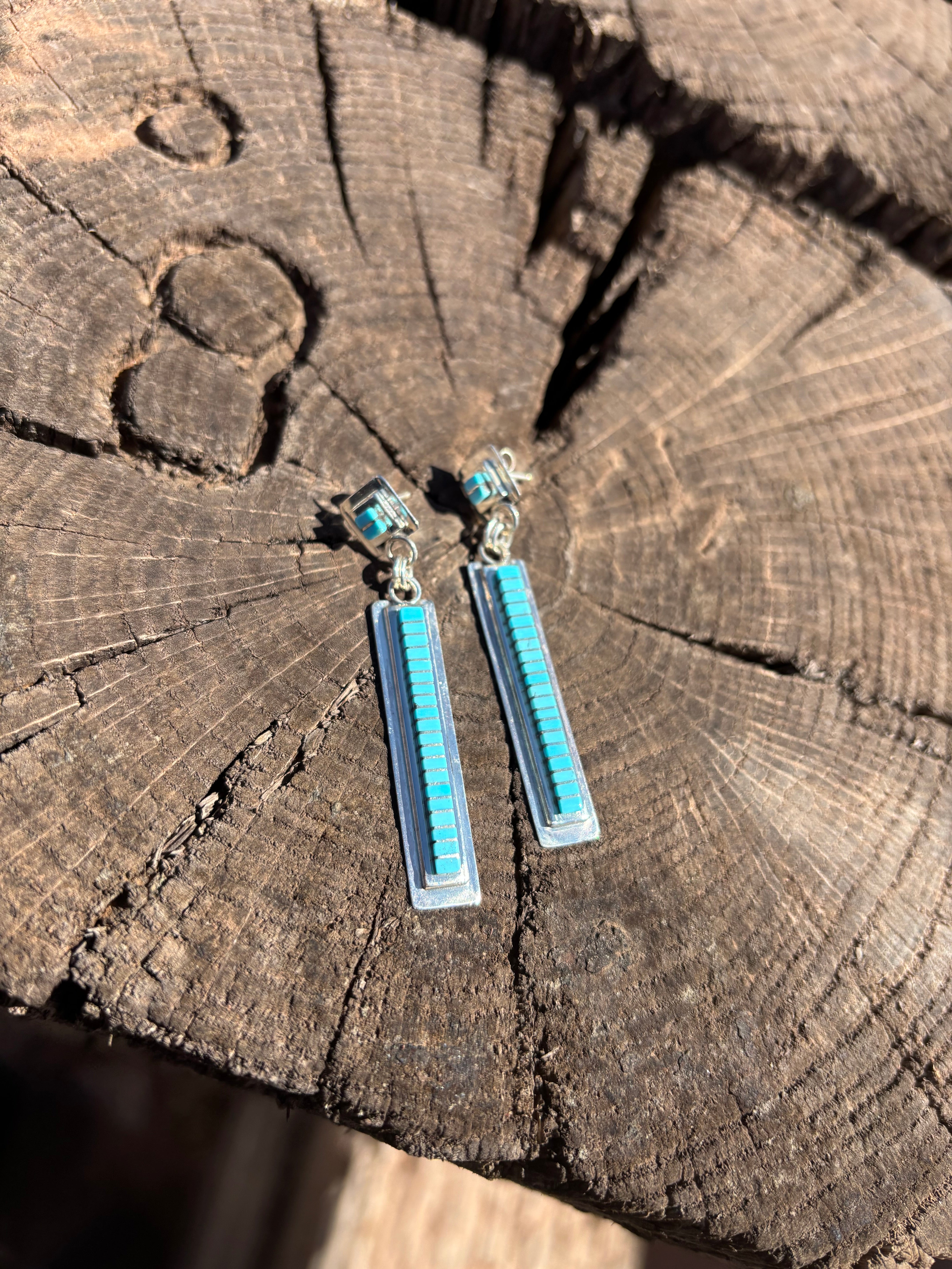 Bold Dangling Earrings