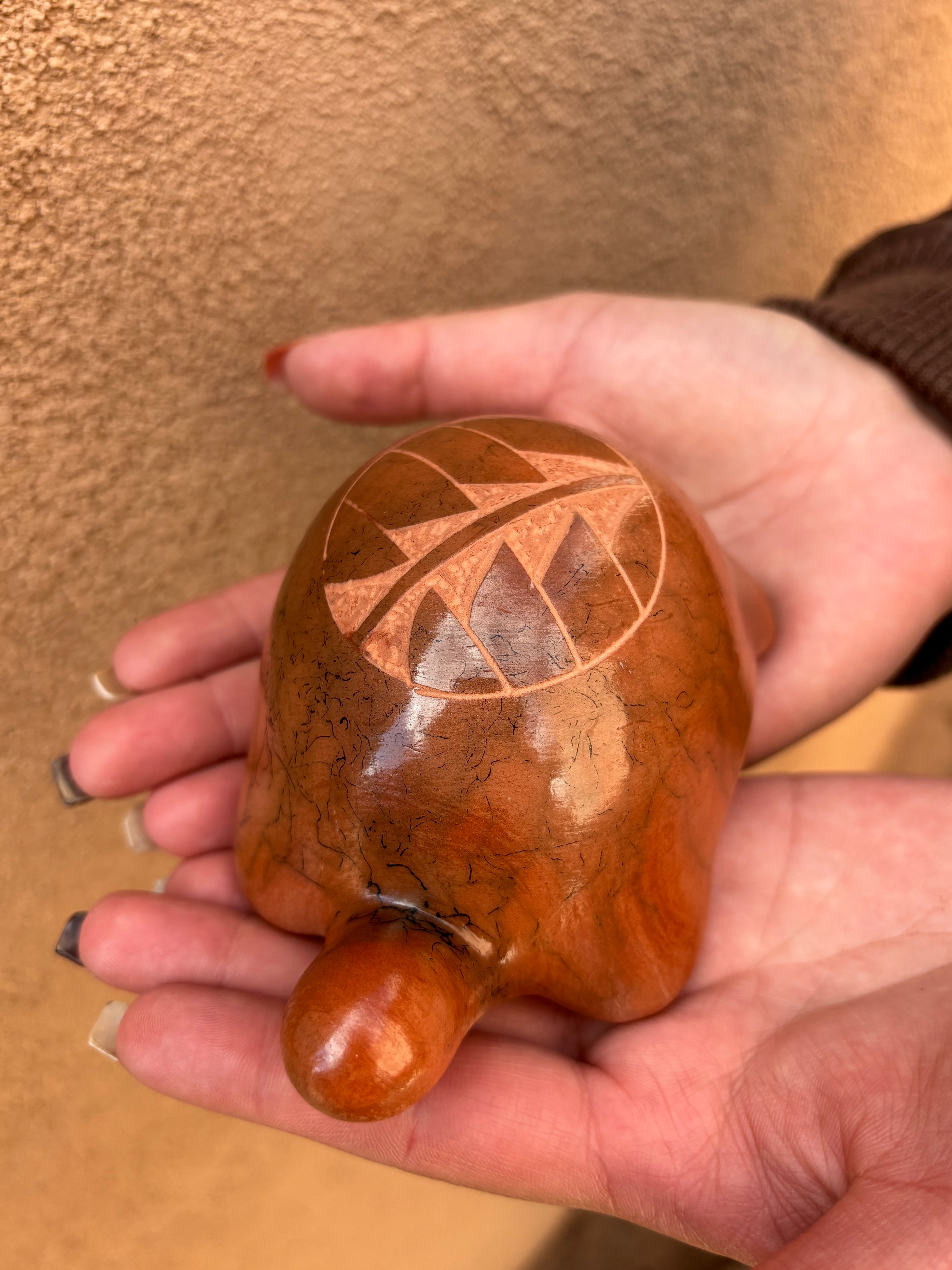 Turtle Pottery