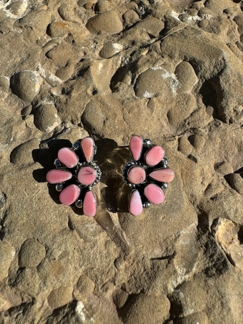 Pink Conch Shell Semi Clustered  Earring