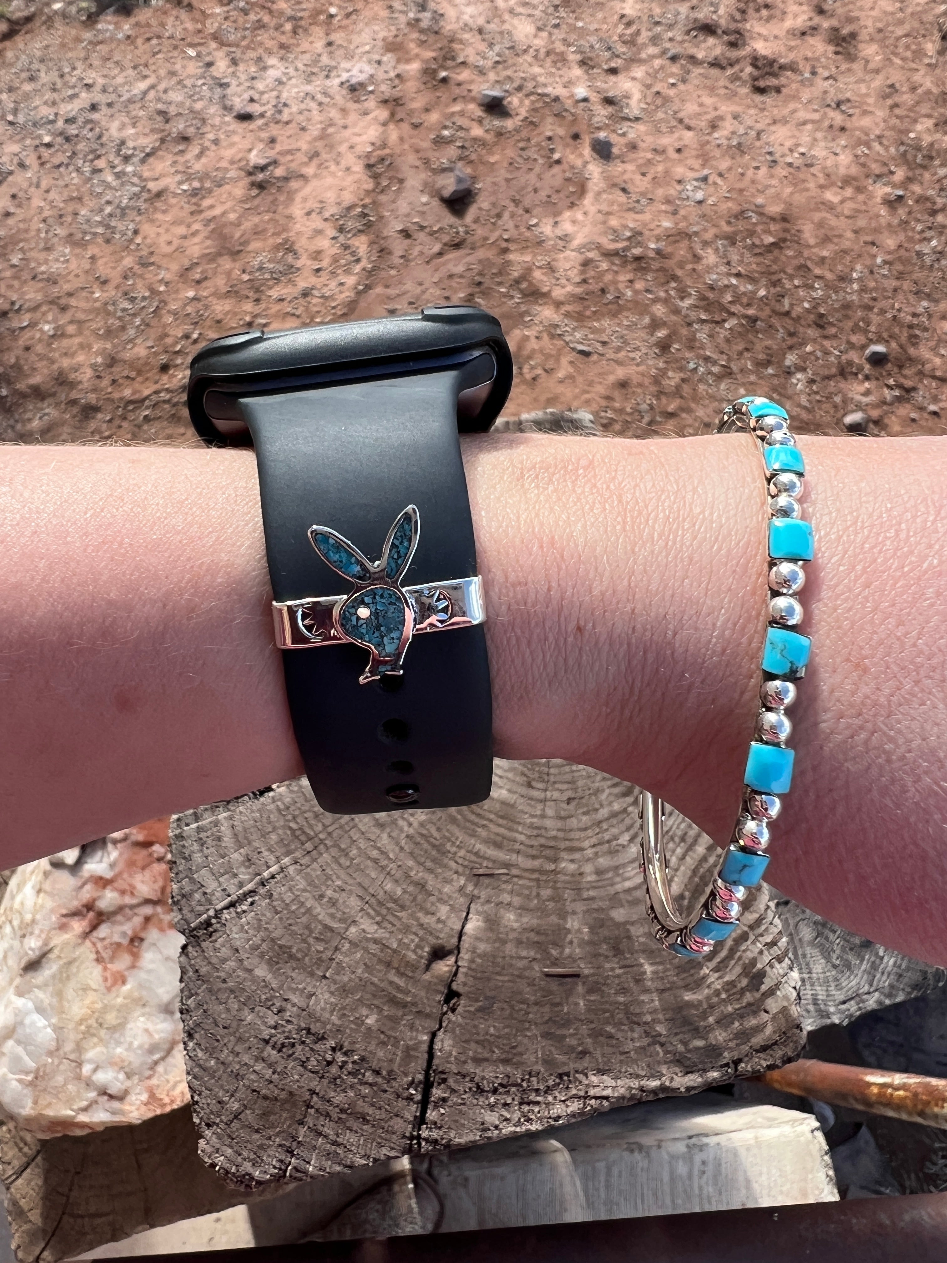 Bunny Watch Slider