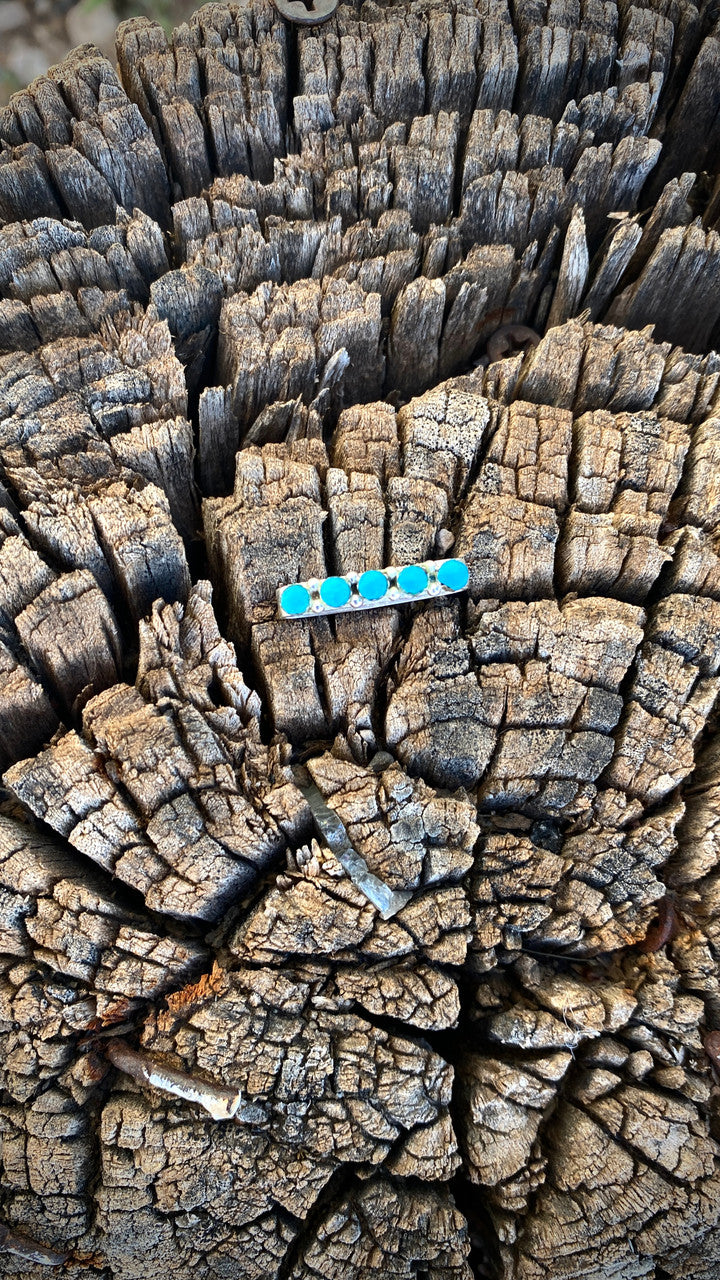 Chaco Canyon Apple Watch 5 Stone Accessory Kingman Turquoise
