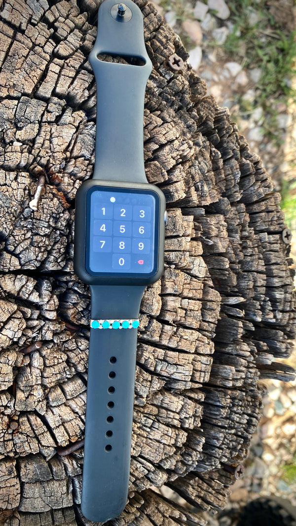 Chaco Canyon Apple Watch 5 Stone Accessory Kingman Turquoise