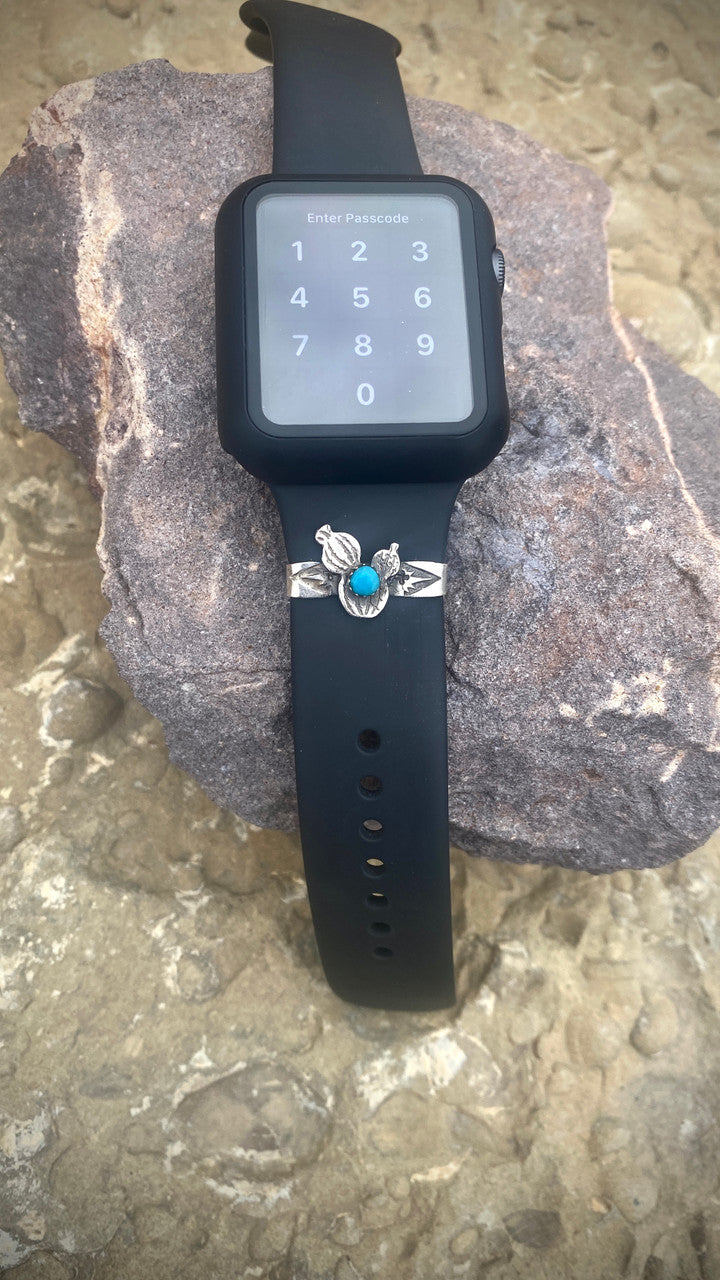 Chaco Canyon Apple Watch Accessory Prickly Cactus Turquoise